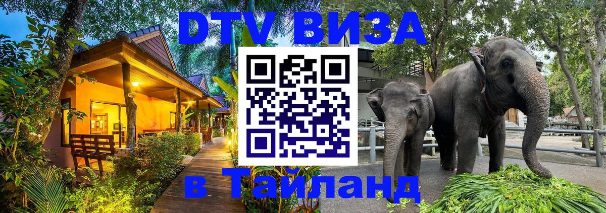 Сколько стоит виза DTV в Тайланд 